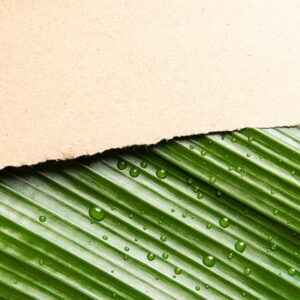 Monitor for Circular Fashion, così le normative europee stanno accelerando la trasformazione