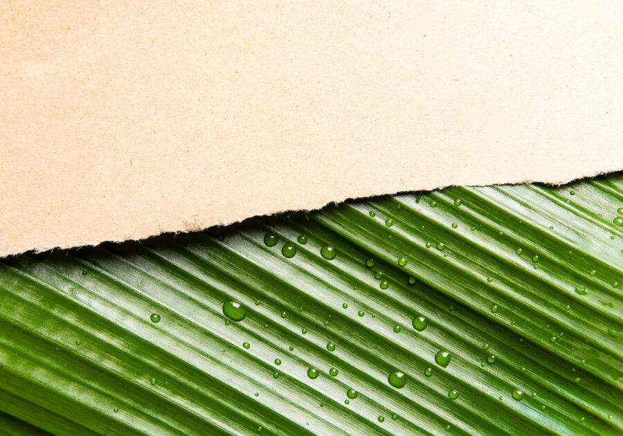 Monitor for Circular Fashion, così le normative europee stanno accelerando la trasformazione